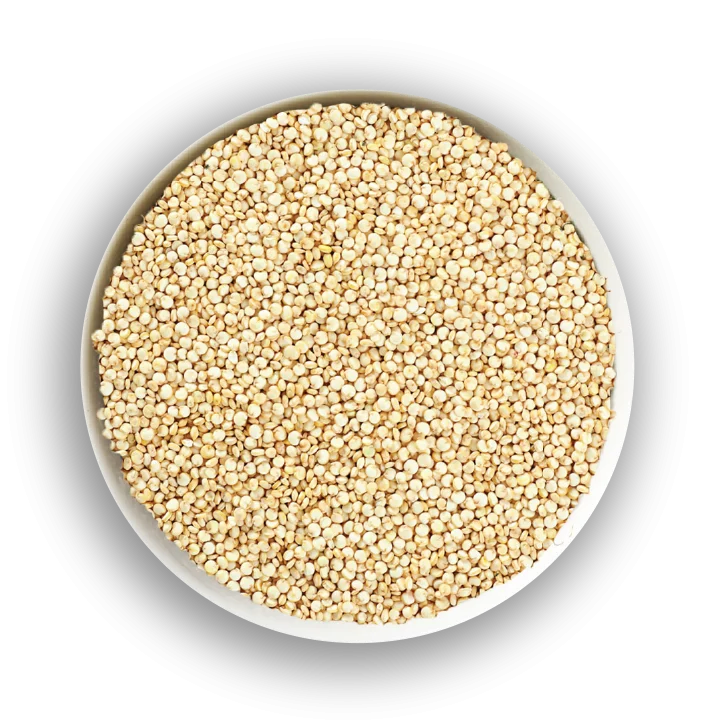 Premium quinoa grain